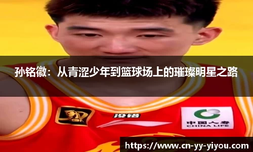 易游体育网页版
