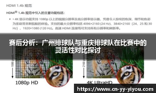 易游体育app